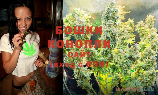 гидра Баксан