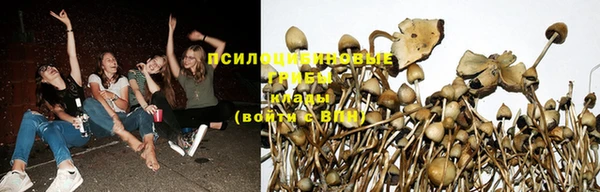 скорость Балахна