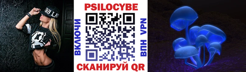Галлюциногенные грибы Psilocybe Ершов