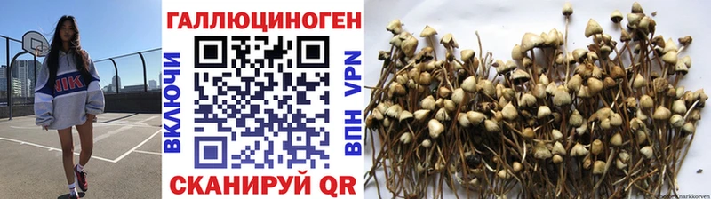 Псилоцибиновые грибы ЛСД Ершов